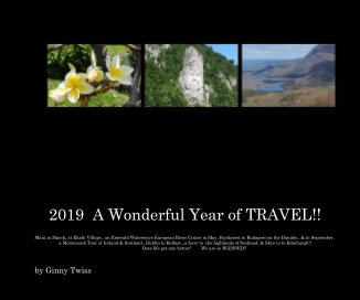 2019 A Wonderful Year of TRAVEL!! book cover