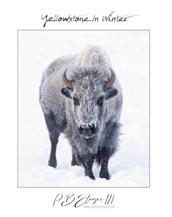 Ver Yellowstone In Winter por P. B. Eleazer III