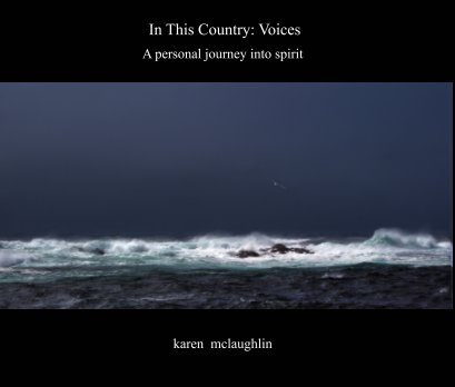 In This Country: Voices book cover