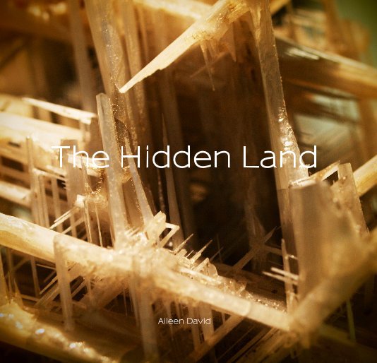View The Hidden Land by Aileen David
