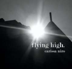 flying high. carissa niro book cover