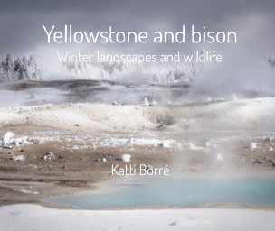 Yellowstone and Bison book cover