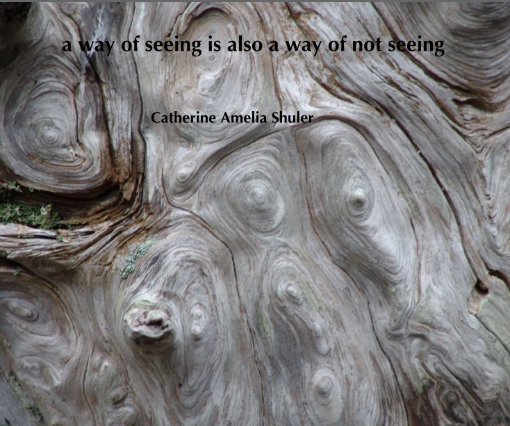 Ver a way of seeing is also a way of not seeing por Catherine Amelia Shuler