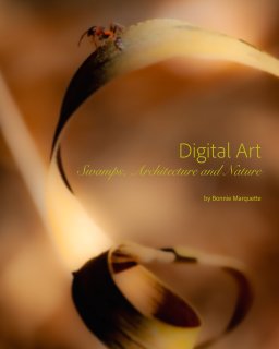 Digital Art book cover
