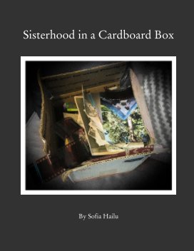 Sisterhood in a Cardboard Box book cover