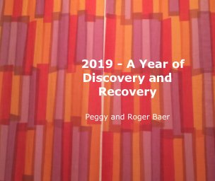 2019 - A Year of Discovery and Recovery book cover