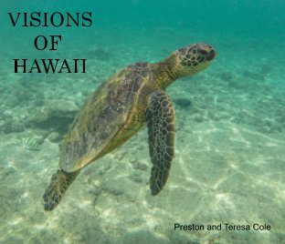 Visions Of Hawaii book cover