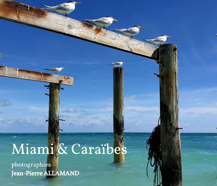 View Les Caraïbes et Miami by Jean-Pierre ALLAMAND