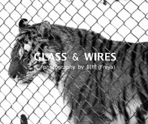Glass and Wires book cover