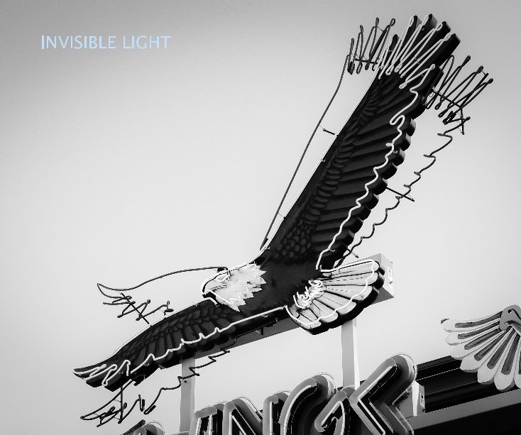 View Invisible Light by Edwin Maynard