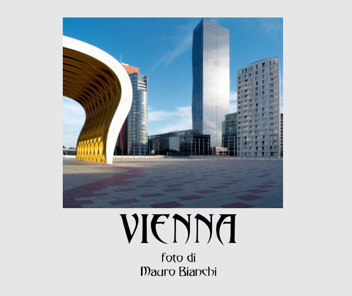 View Vienna by Mauro Bianchi