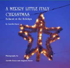 A MERRY LITTLE ITALY CHRISTMAS book cover