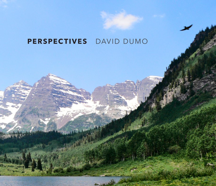 View Perspectives by David Dumo