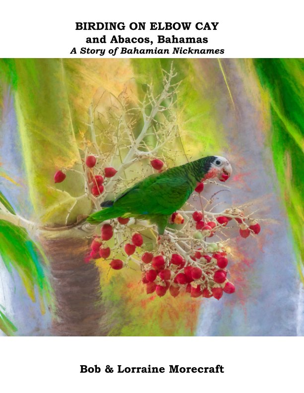 View Bahamian Bird Stories by Lorraine Morecraft