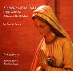 A MERRY LITTLE ITALY CHRISTMAS book cover