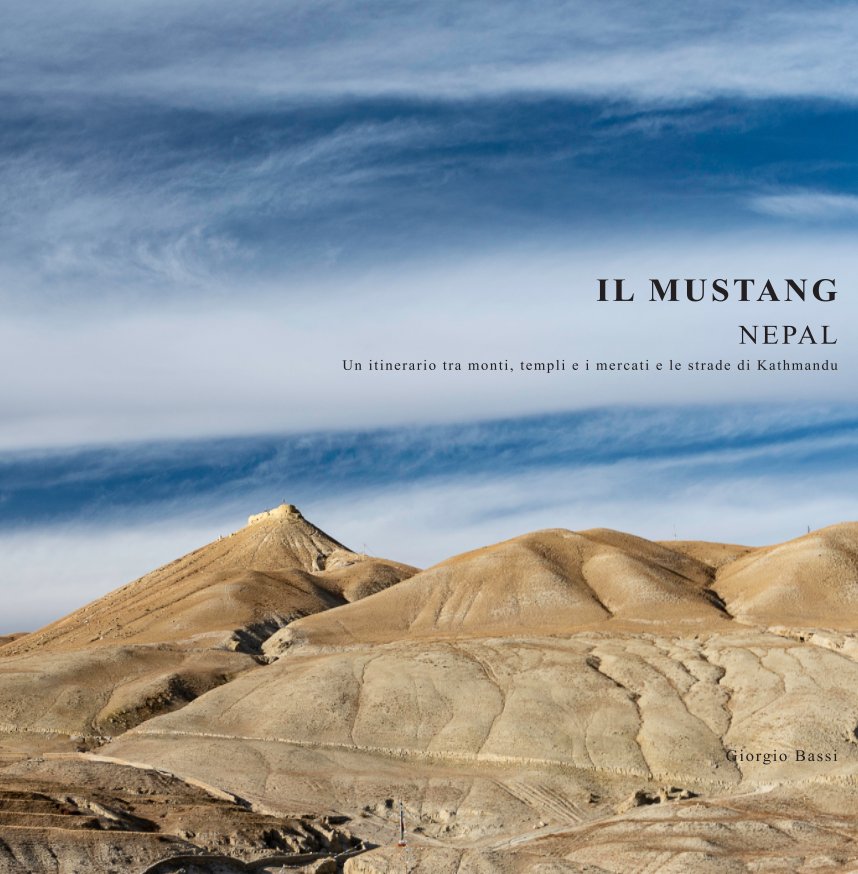 View Il Mustang by Giorgio Bassi