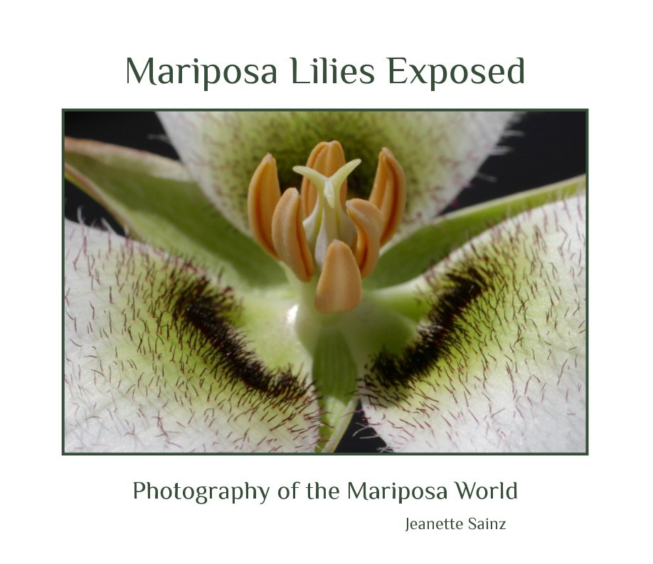 View Mariposa Lilies Exposed by Jeanette Sainz