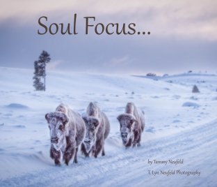 Soul Focus book cover
