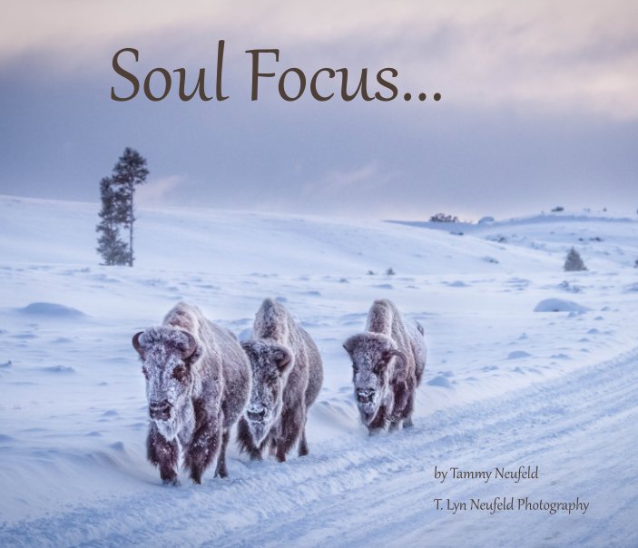 View Soul Focus by Tammy Neufeld