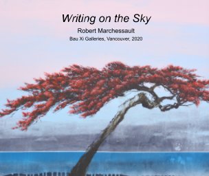 Writing on the Sky book cover