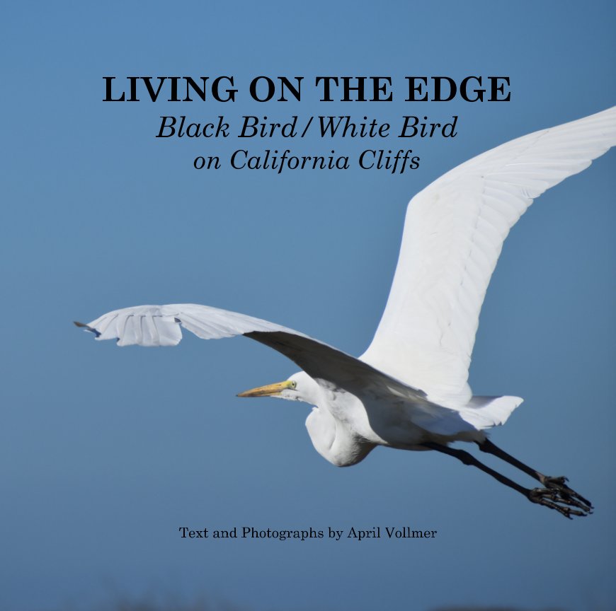 View Living on the Edge by April Vollmer