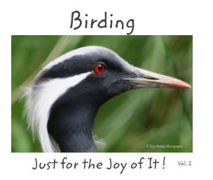 Birding: Just for the Joy of It!    Vol. 2 book cover