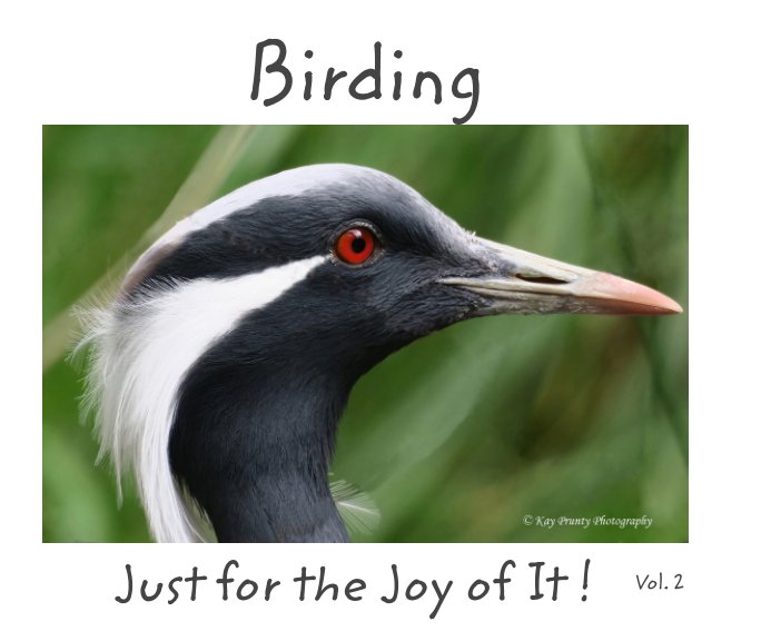 Bekijk Birding: Just for the Joy of It!    Vol. 2 op Kay Prunty Photography