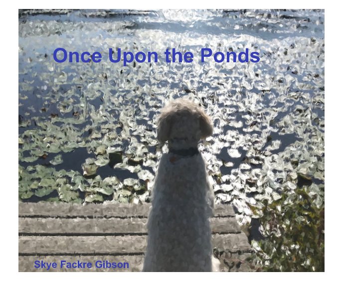 Bekijk Once Upon the Ponds op Skye Fackre Gibson