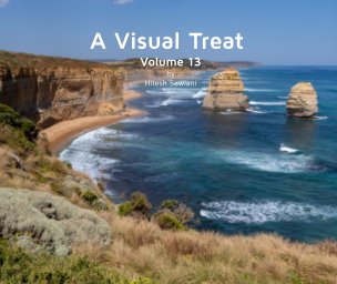 A Visual Treat: Volume 13 book cover