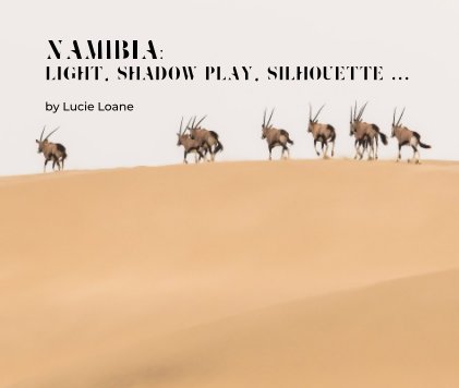 Namibia: light, shadow play, silhouette ... book cover