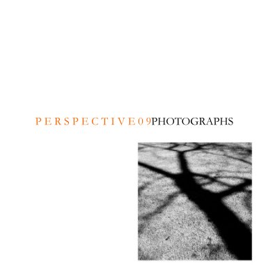 Perspective 09 book cover