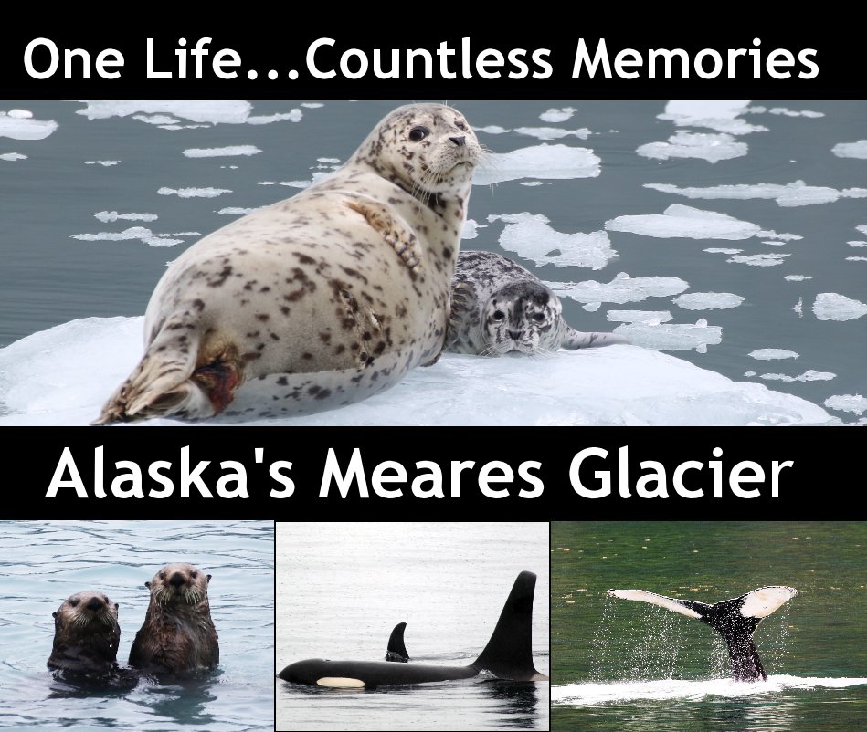 Ver Alaska's Meares Glacier por Chris Shaffer