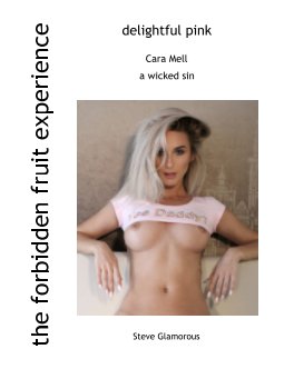 Cara Mell a wicked sin book cover