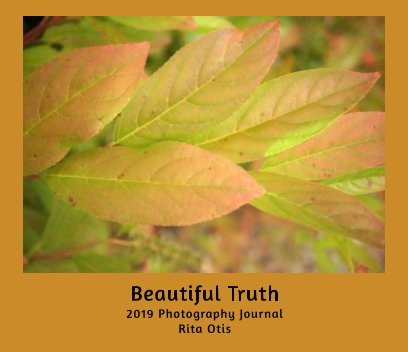 Beautiful Truth book cover