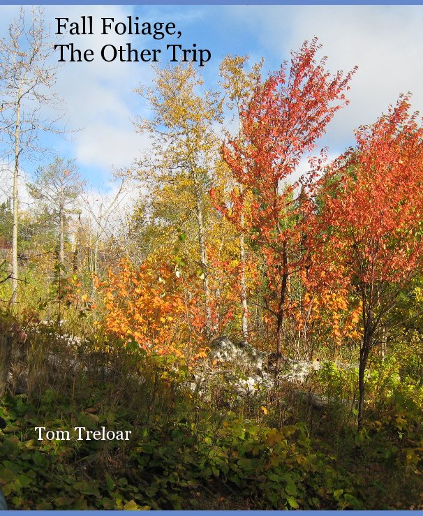 View Fall Foliage, The Other Trip by Tom Treloar