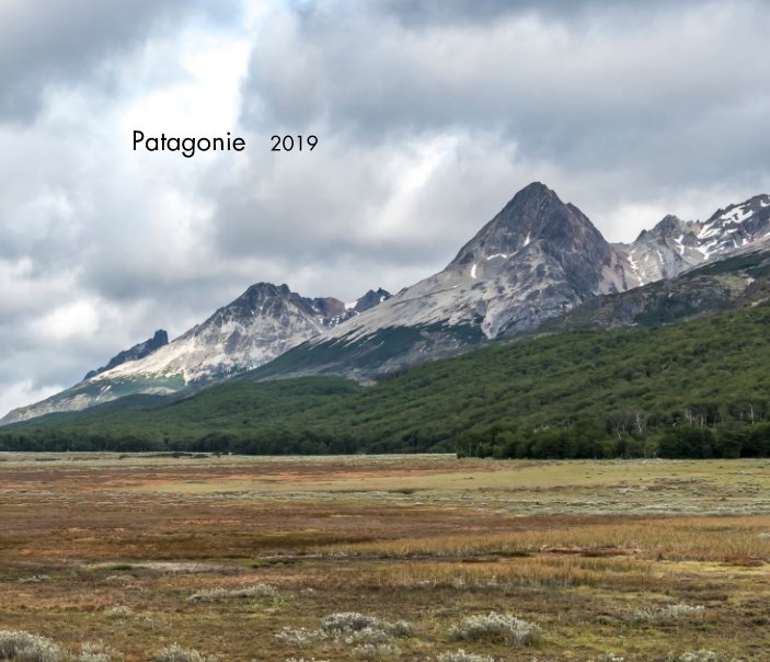View Patagonie  2019 by Renaud Spitz