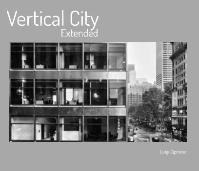 Vertical City - Extended book cover