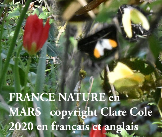 Nature Photos France Mars 2019 03 - français-anglais nach Clare Cole anzeigen