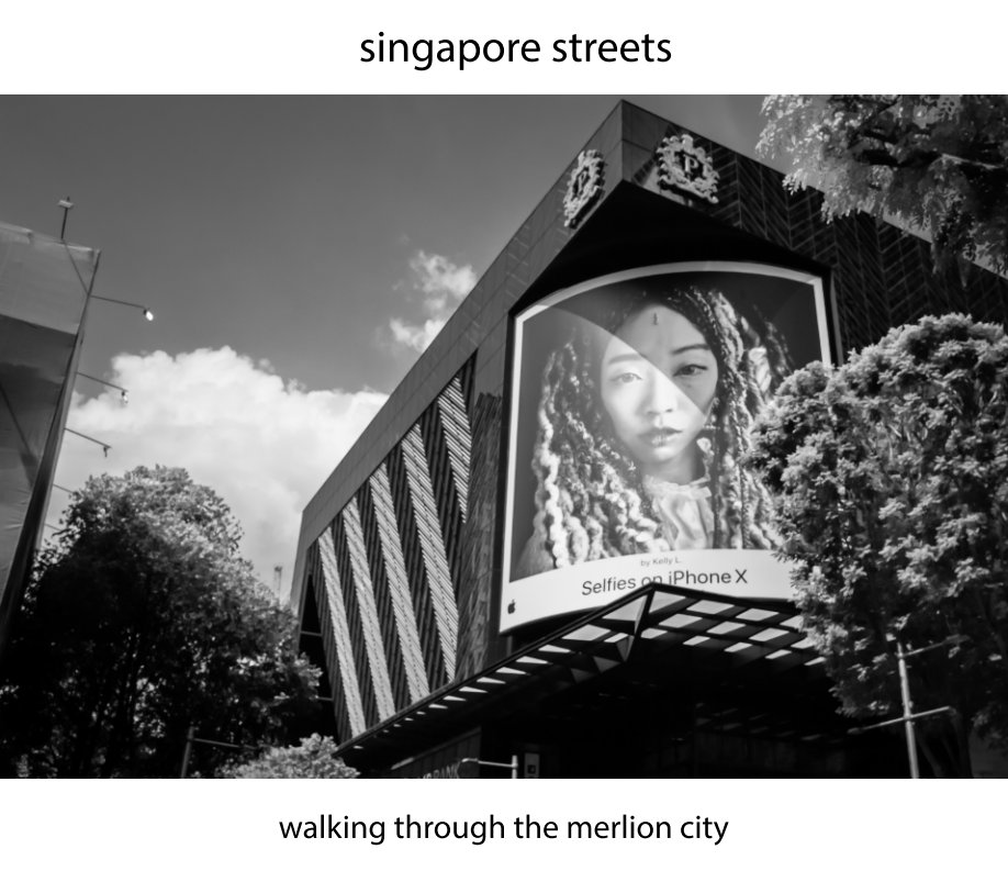 Visualizza singapore streets di lionel buratti