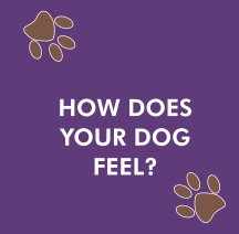 How Does Your Dog Feel? book cover