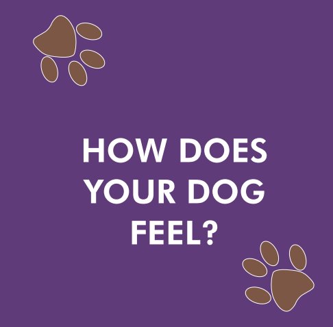 Ver How Does Your Dog Feel? por Nate Siegelman