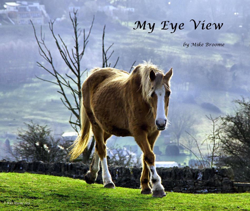 View My Eye View by Mike Broome