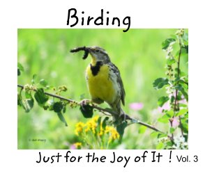 Birding : Just for the Joy of It !  vol. 3 book cover