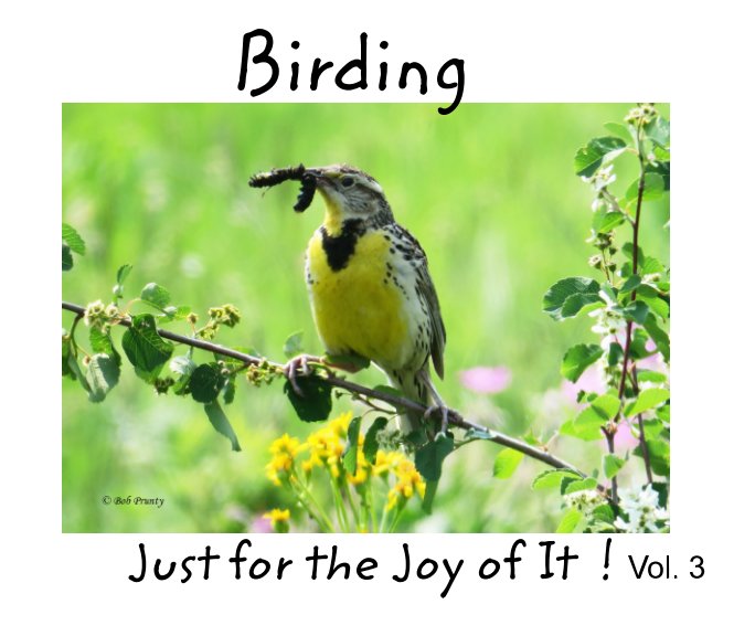 Bekijk Birding : Just for the Joy of It !  vol. 3 op Kay Prunty