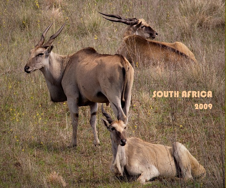 Ver SOUTH AFRICA 2009 por Allen Davies