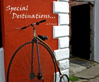 Special Destinations book cover