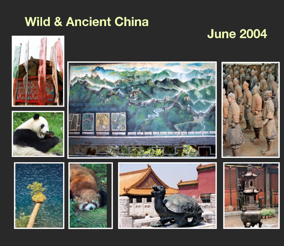 Visualizza Wild and Ancient China di Ursula Jacob