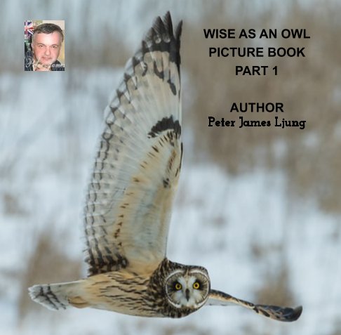 View WISE AS AN OWL PICTURE BOOK PART1
2nd Edition by Peter James Ljung