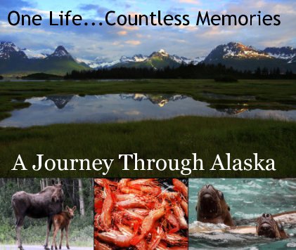 A Journey Through Alaska book cover