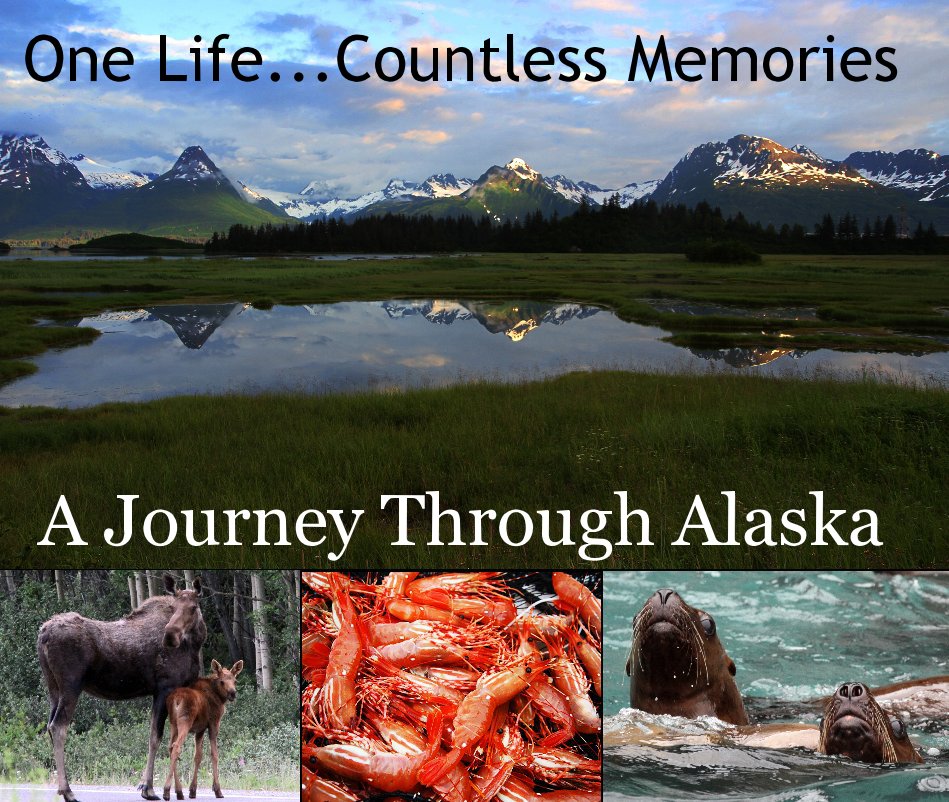 A Journey Through Alaska nach Chris Shaffer anzeigen